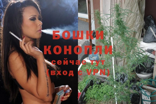 мет Богданович